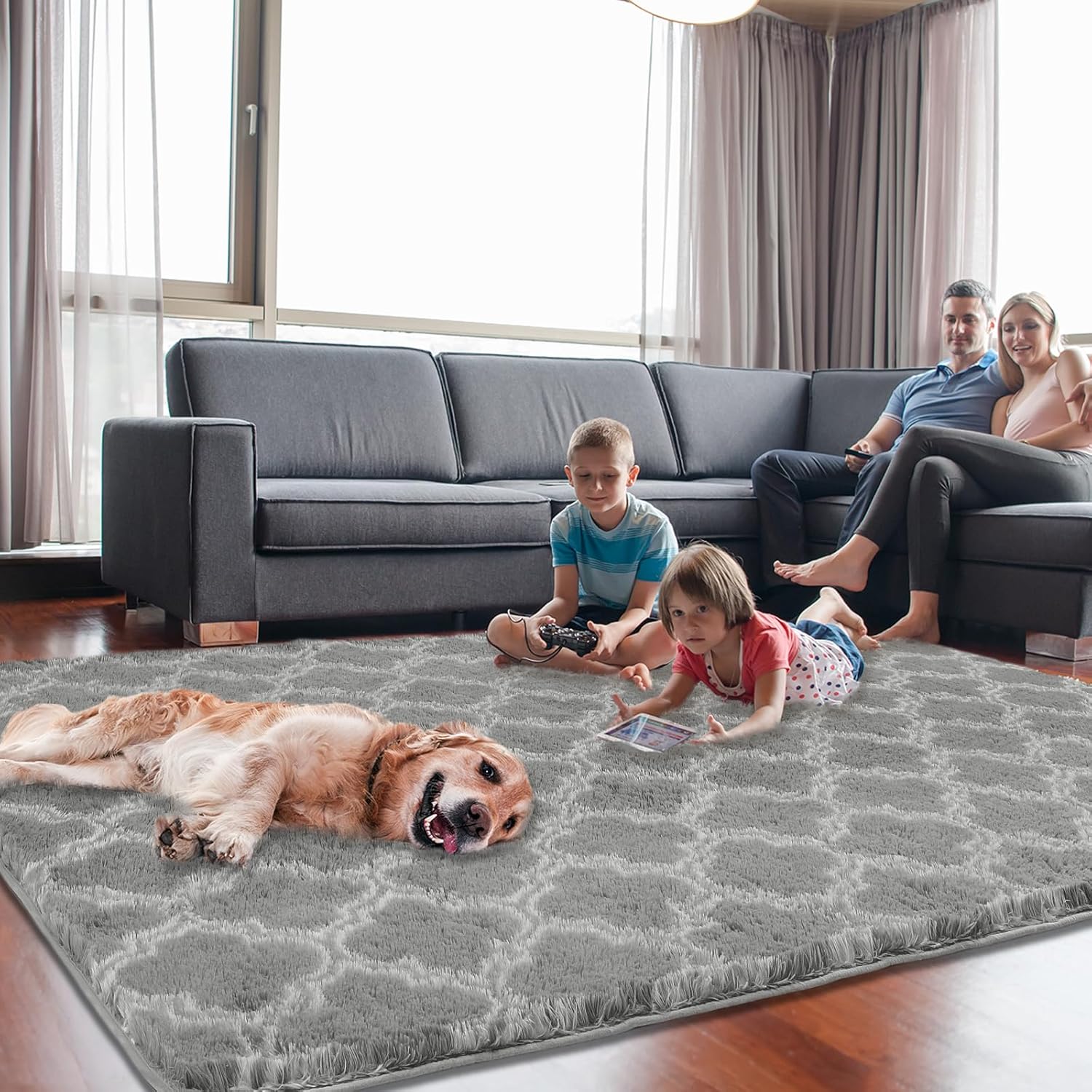 Plush Area Rug 4x6 Feet High Pile Rugs for Living Room, Ultra Soft Indoor Carpet for Bedroom, Kids Room, Playroom, Home Decor, Geometric, Light Grey/White
